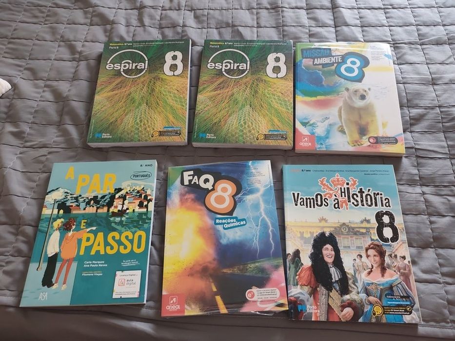 Manuais 8ano novos