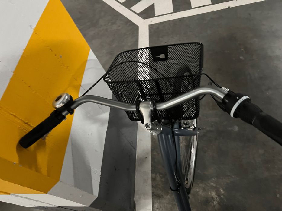 Bicicleta Pasteleira