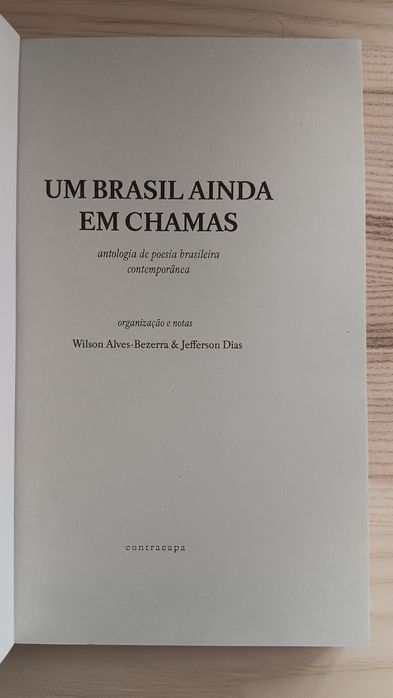 Um Brasil Ainda Em Chamas,Antologia de Poesia Brasileira Contemporânea