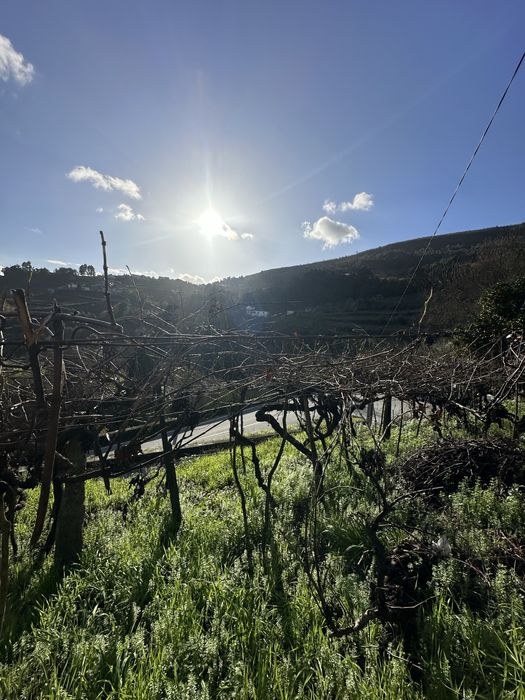 Casa Tradicional + Terreno