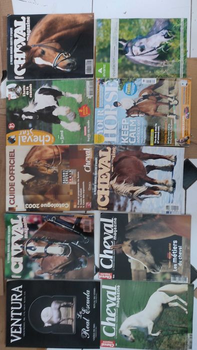 Lote 30 Revistas sobre cavalos e equitação