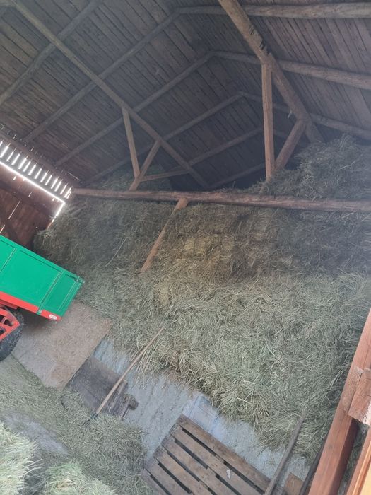 Sprzedam Siano Kostka