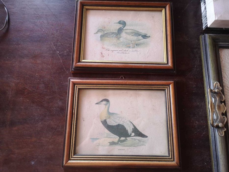 Quadros tópicos variados64309920138498123