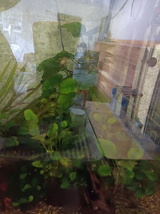 Filtros para aquário FX 6