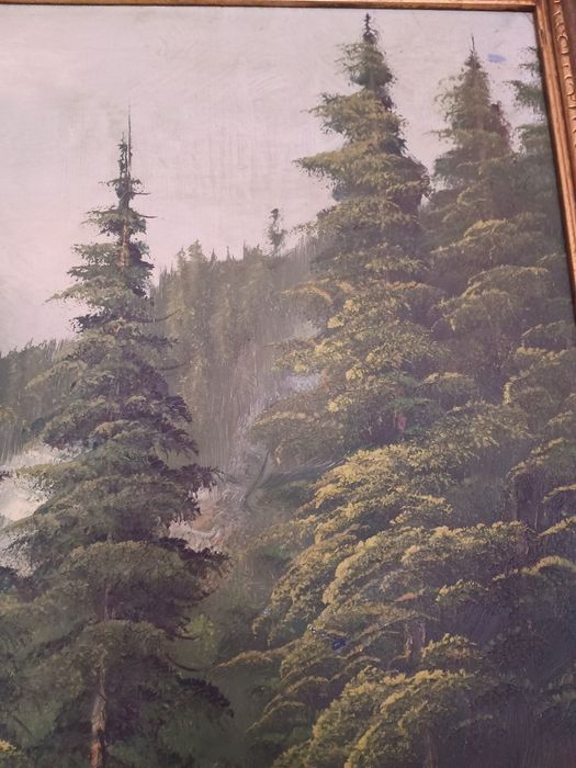 Pejzaż górski - olej/płótno - Fritz Zschiesche