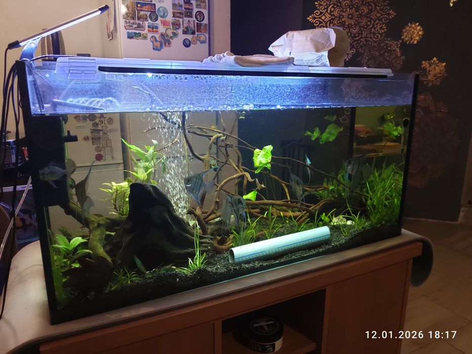 Akwarium z szafką, 200l.