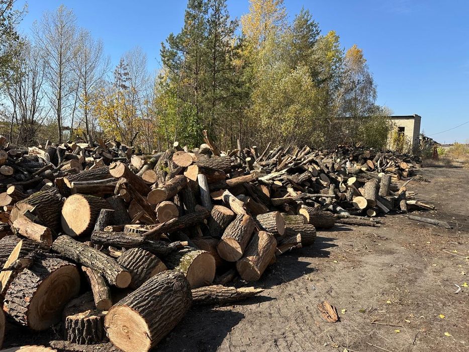 Продам Дрова Оптом и в Розницу