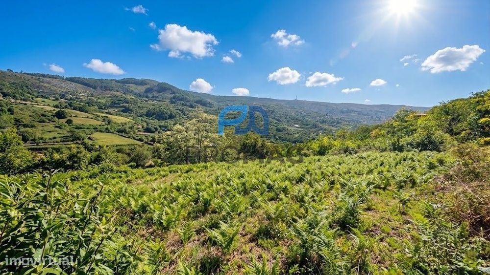 Terreno com Excelentes Vistas- Ótimo Investimento