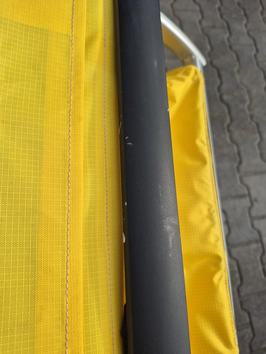 Przyczepka rowerowa Thule sport