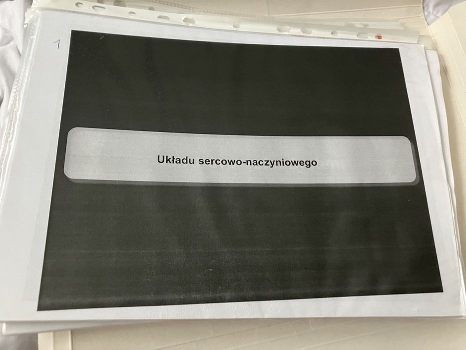 Wykłady z interny dla studentów kierunków medycznych, nowe, rok 2023