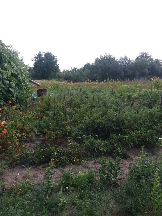 Продаж   будинку