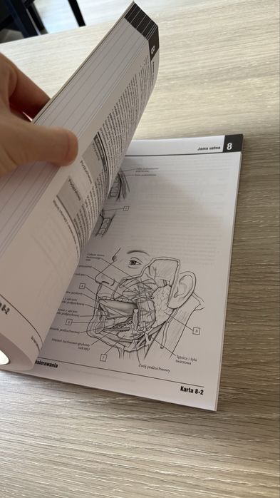 Anatomia Nettera do kolorowania