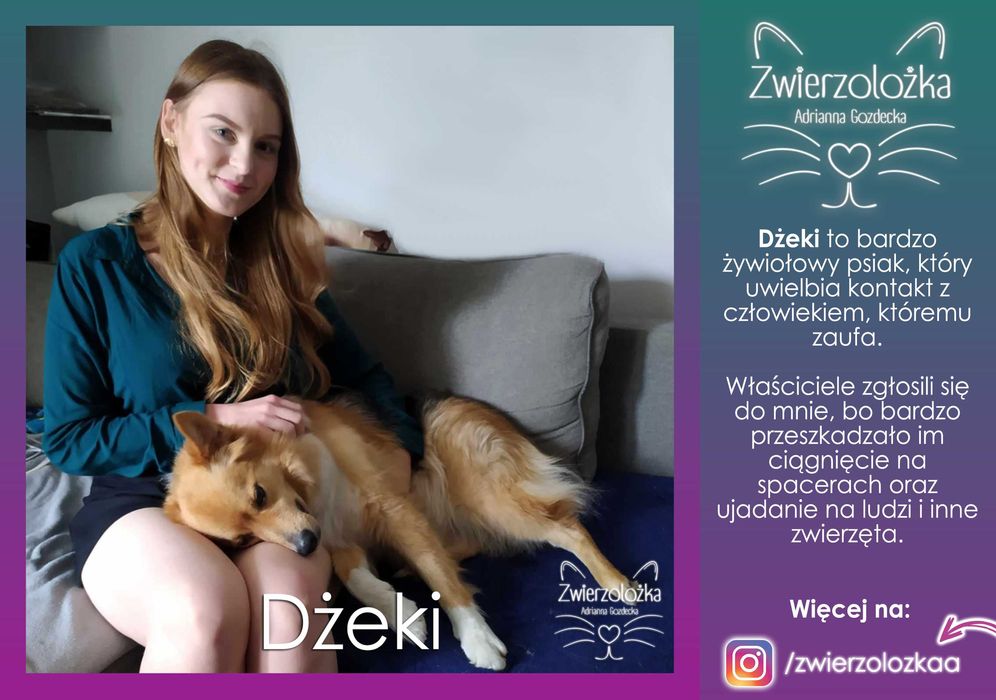 Behawiorysta zoopsycholog – Koty, Psy, Gryzonie