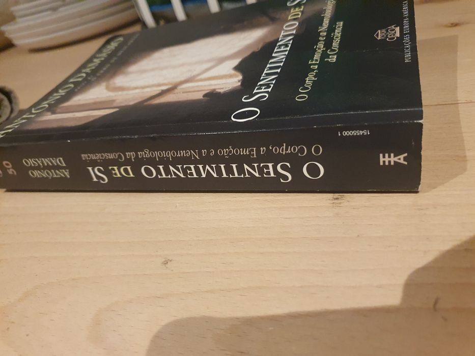 António Damásio o sentimento de si primeira edição