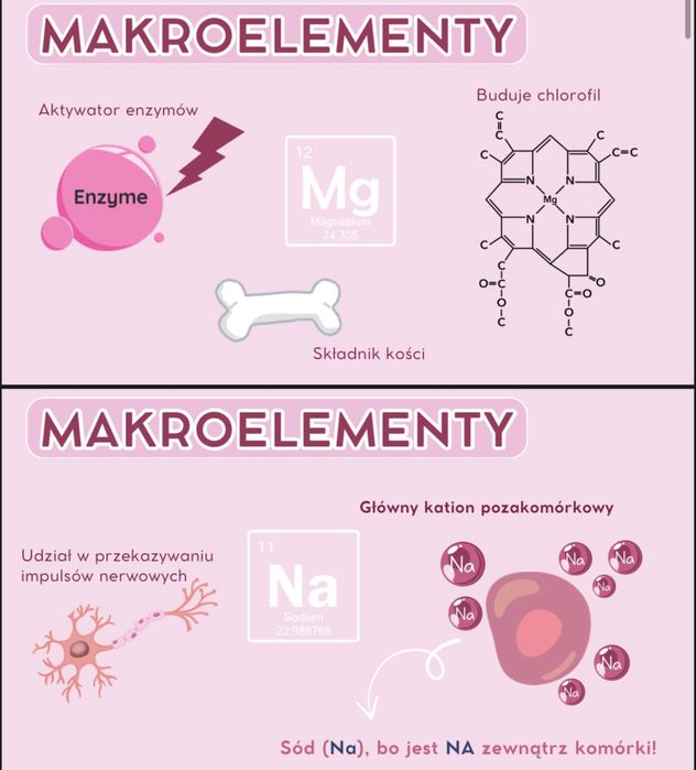 Korepetycje biologia rozszerzona online/Lublin