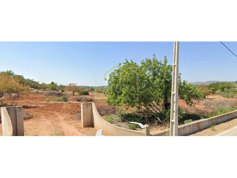 Terreno Rústico totalmente Plano em Pechão