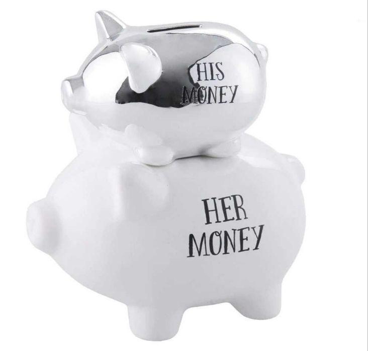 Skarbonka dla dwojga dla pary his money her money home