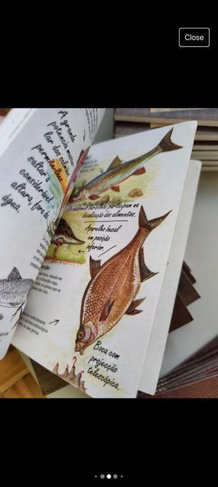 Coleção Cadernos de Campo