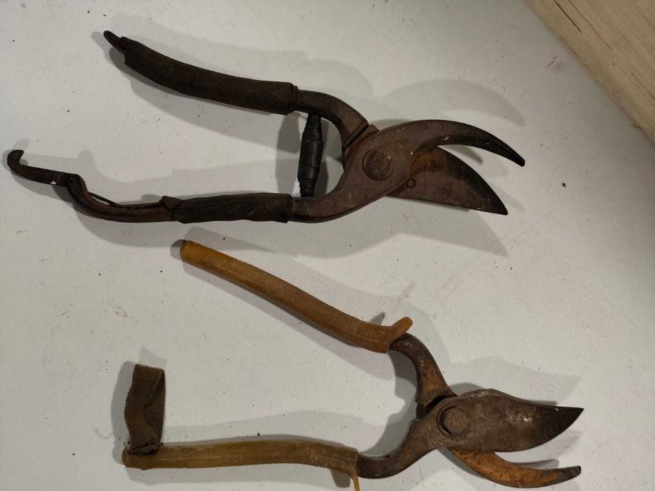 Tesouras de podar e vindimar