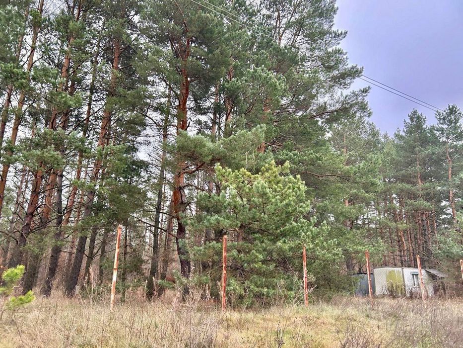 Земельна ділянка 8 Га! Ясногородка!