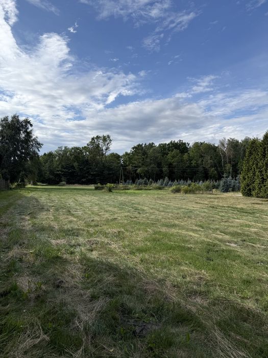 Działka 13 767 m² z domkiem letniskowym – Pruszyn, ul. Łosicka – MPZP, media