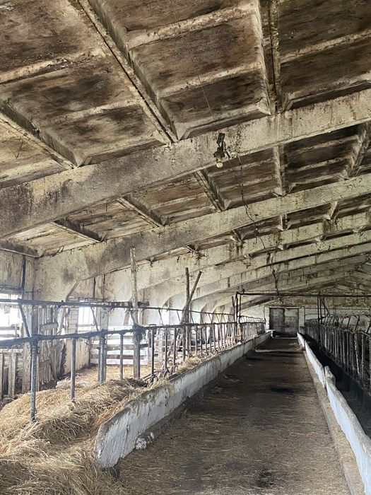Продам корівник, Клюшечник 21й, 18й