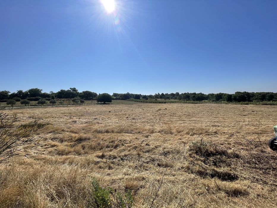 Terreno - Cartaxo (junto à A1)