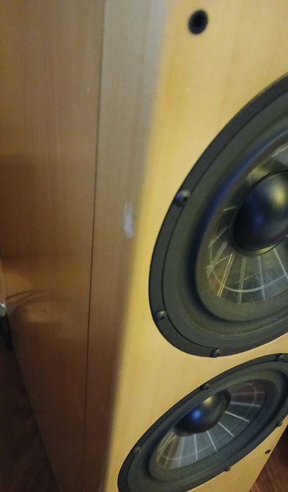 Vienna Acoustics Beethoven Concert Grand