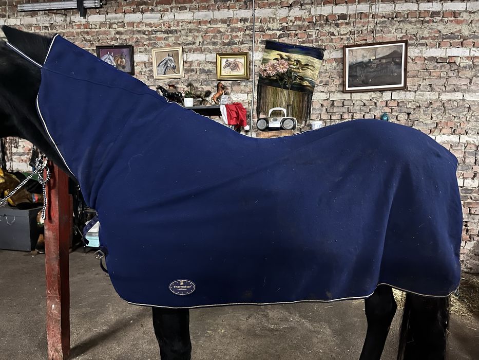 Попона флісова для коня