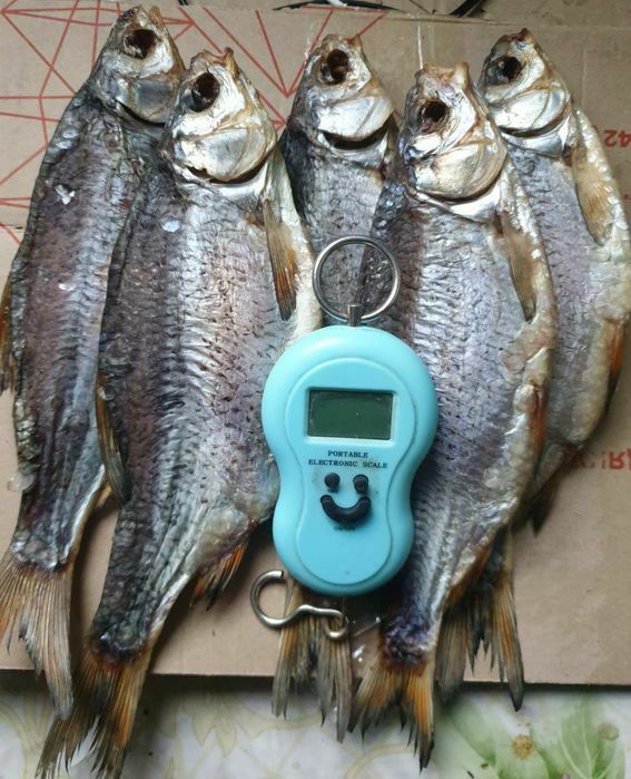 Крупний смачний Лящь Тарань сушена плотва