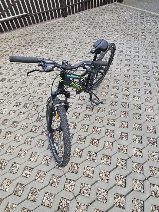 Rower Kands Dragon 24" koła