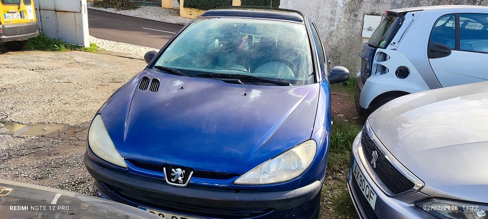 Peugeot 206 - 1.1 Color Line