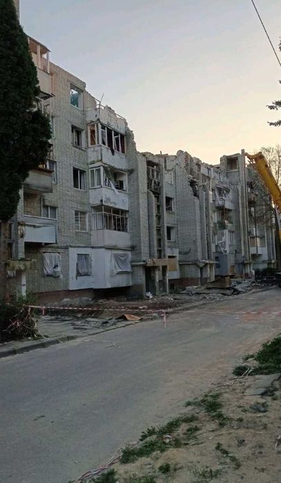 Академік шукає дім