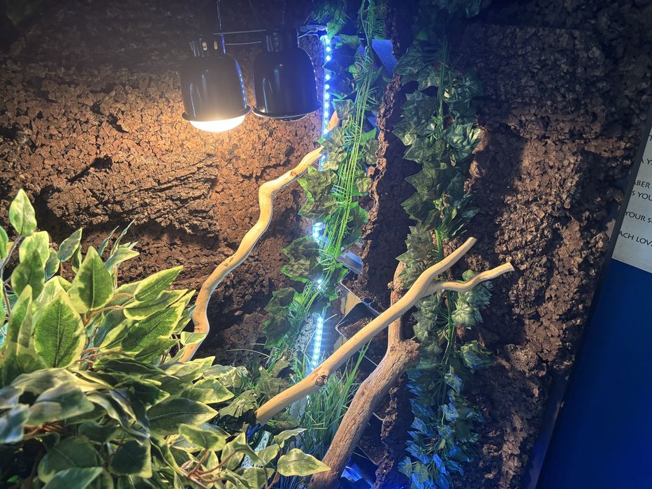 Terrarium tropikalne 100x160x55 cm z akwarium