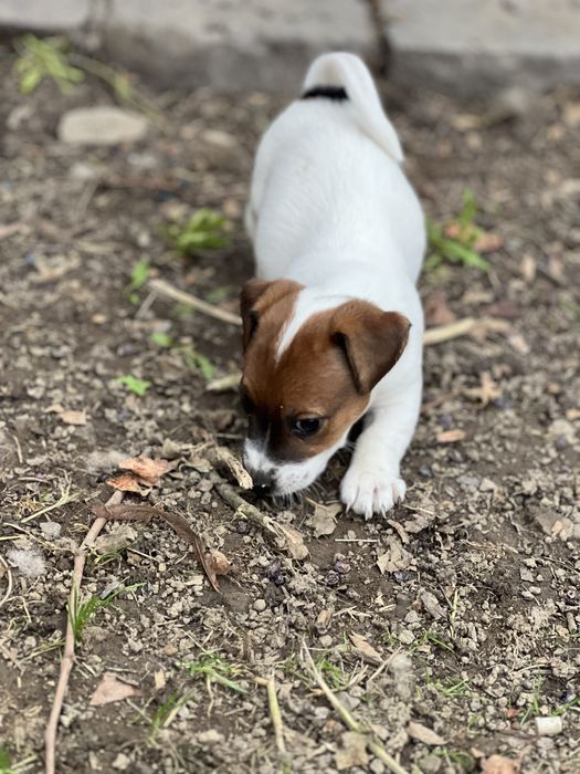 Гарнюсенька дівчинка чекає на батьків