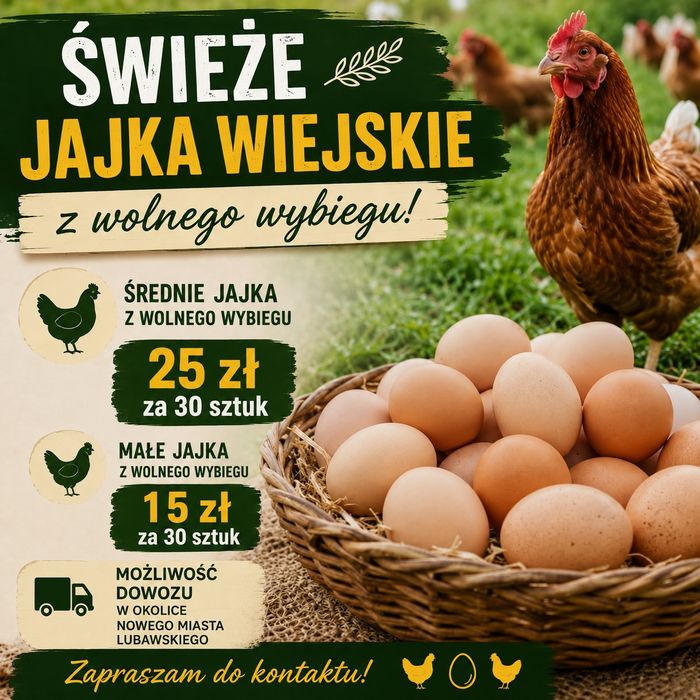 Sprzedam jajka wiejskie
