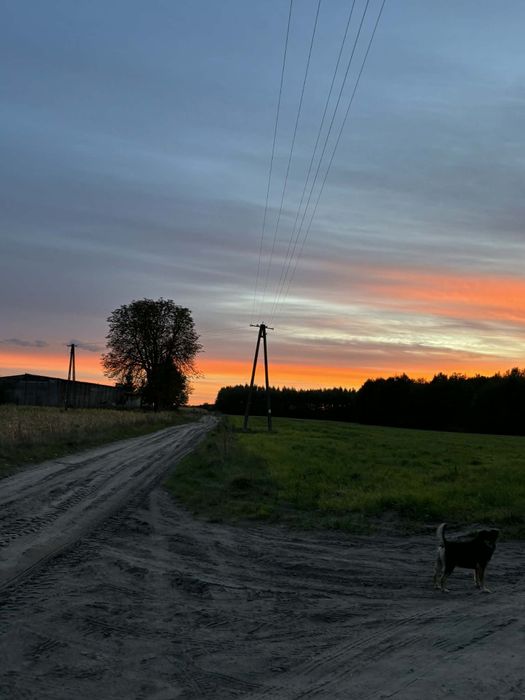 Działki pod zabudowę Biechówko