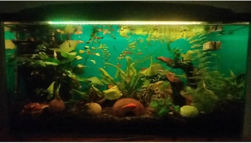 Akwarium 112 l Opti White