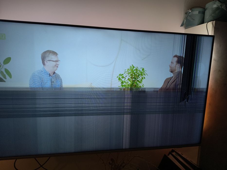 Philips 65PUS7956 64 cale