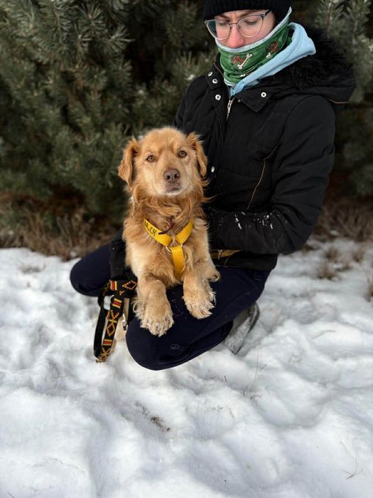 Piękny Pinio ,szuka domu.