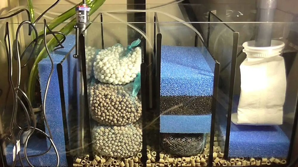 Фильтр для аквариума. САМП. Внешний фильтр.