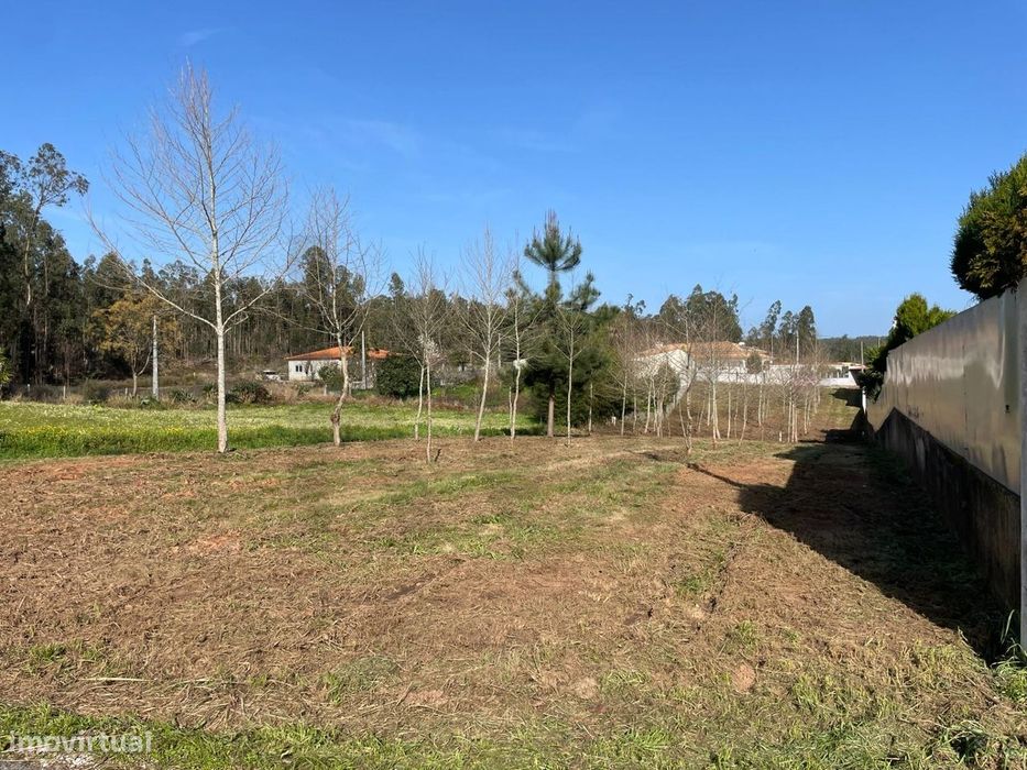 Terreno Para Construção - Cavadas De Cima - Macinhat Do Vouga — Macinhata do Vouga, Aveiro