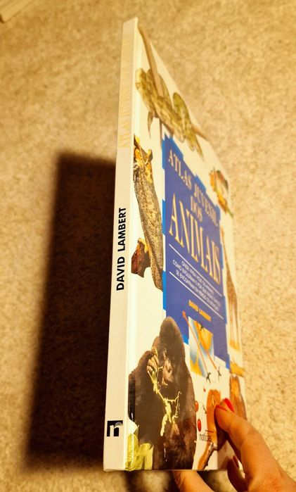 Atlas Juvenil dos animais - David Lambert,  Livro Juvenil, didático