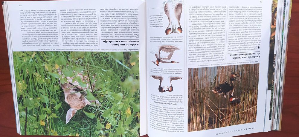 Livro "O Mundo Maravilhoso dos Animais Selvagens"