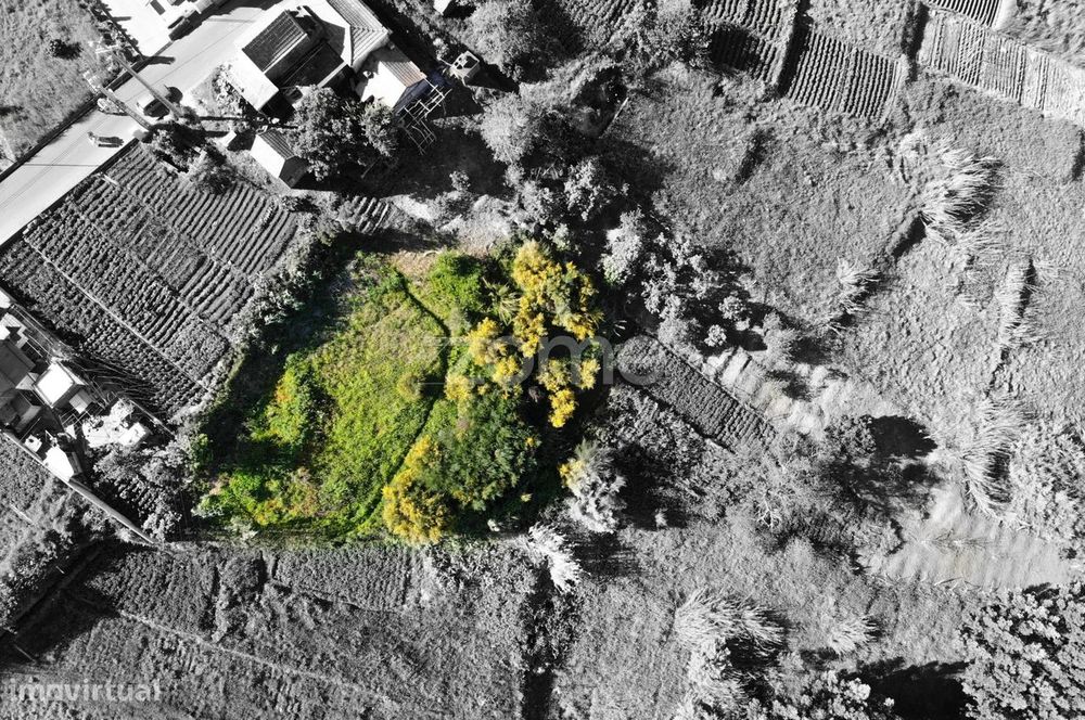 Terreno Plano