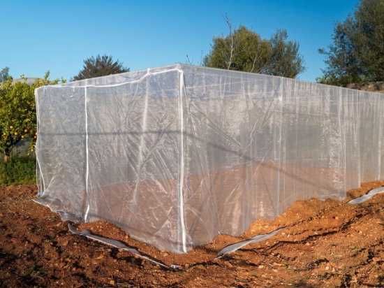 Estufa 4 x 6 m, 24 m², rede anti-trips 20x20