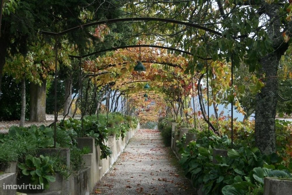 Douro Vineyard Estate, Tourist Quinta