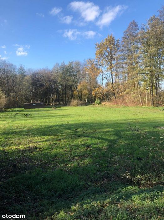 Działka budowlana 22 ary i las kolejne 35 arów