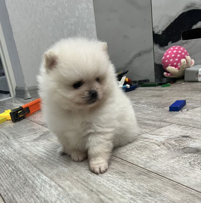 Кремова дівчинка ))