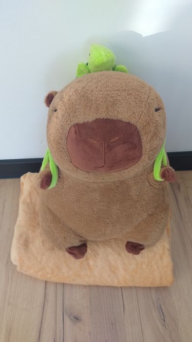 Duża Kapibara maskotka z kocem w środku jak nowe ok 43 cm